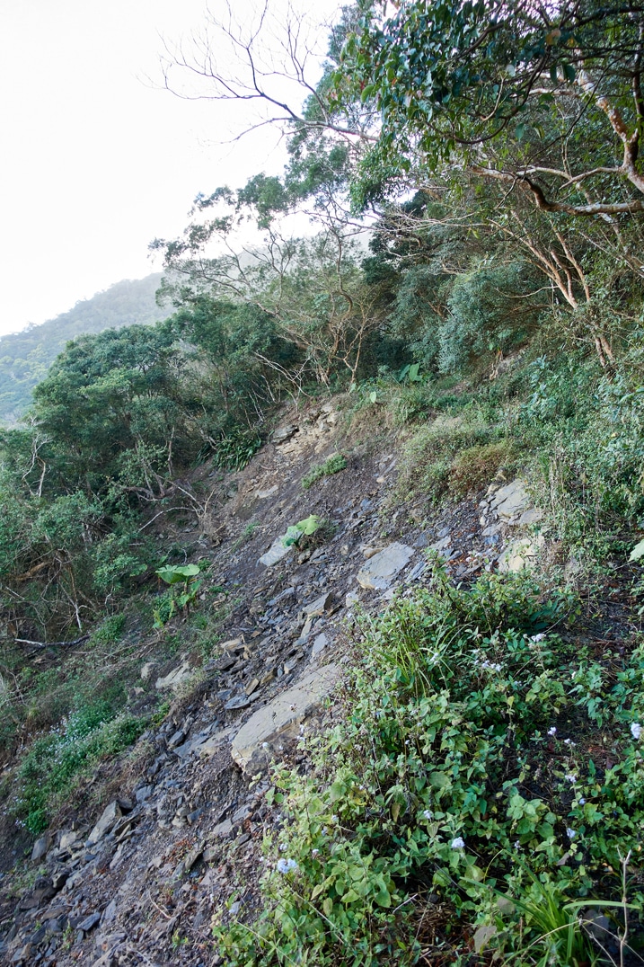 Landslide - small trail to right of landslide