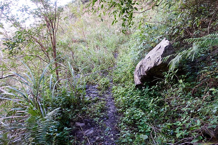 Mountain trail with chain across blocking the way - boulder on right - trees on left