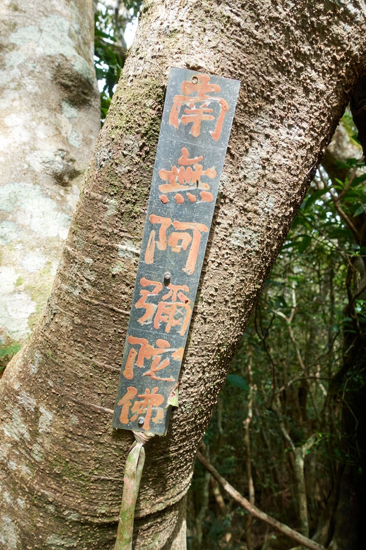 Long metal sign in Chinese nailed to a tree