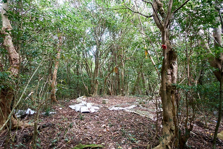 Flat, open area with triangulation stone and various debris around