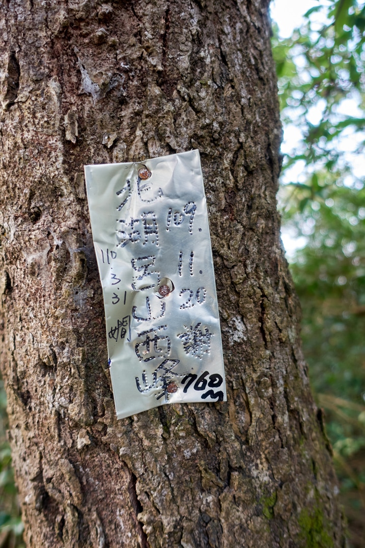 Small metal sign nailed to tree with Chinese writing on it