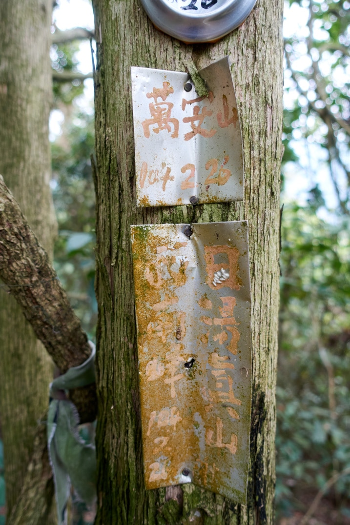 Closeup of two old metal signs attached to tree - Chinese on signs