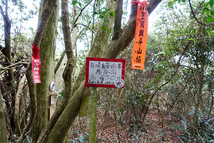 Sign attached to tree with Chinese words - a few ribbons attached to tree