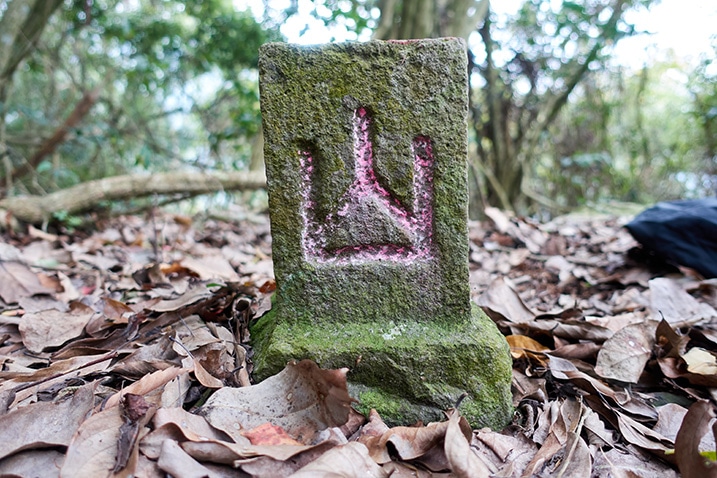 Closeup of triangulation stone for 日湯真山西南峰 - RiTangZhenShan Southwest Peak