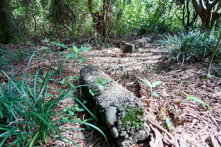 Two stone markers lying on ground - trees in background