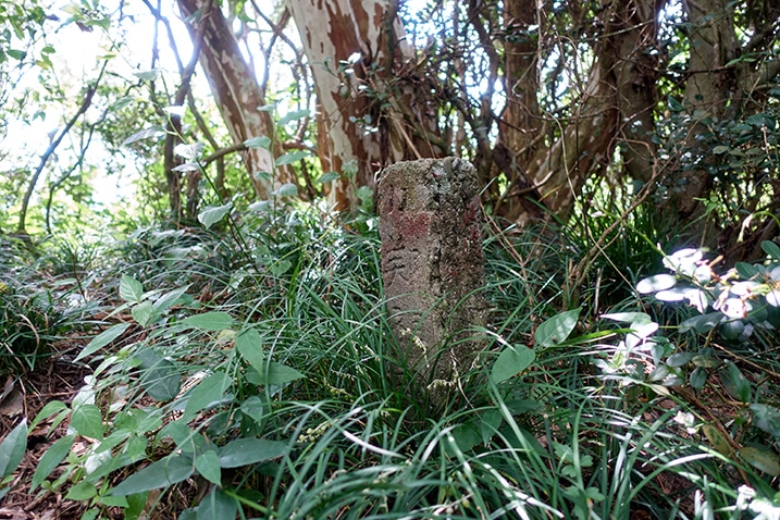 Stone grave marker in grass - tall and pillar