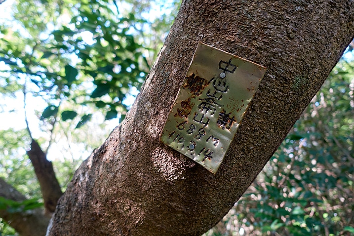 Closeup of small metal sign attached to tree