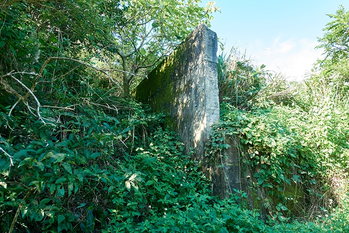 Old concrete wall surrounded by trees and plants - PingBuCuoShan - 坪埔厝山