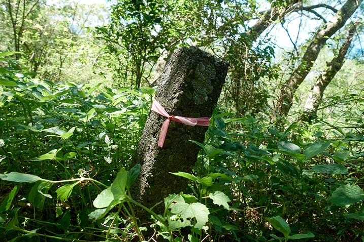 Closeup of concrete pillar marker - red ribbon tied around marker - trees in background