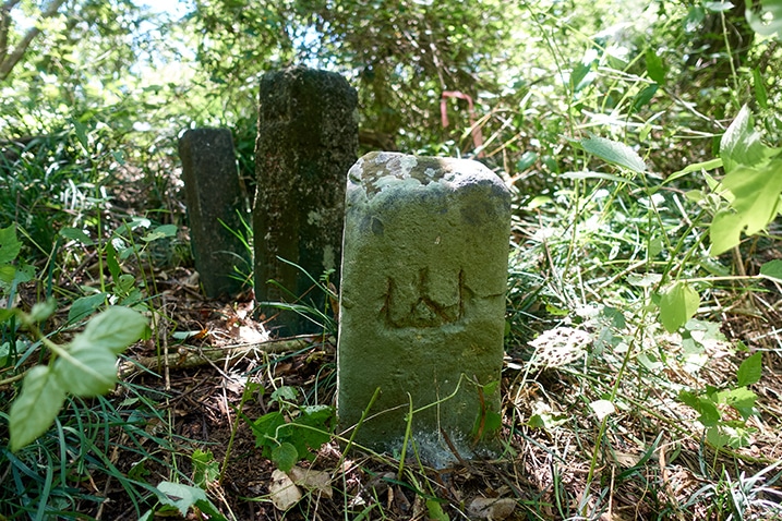 Several stone markers in a row