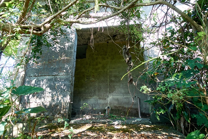 Old building made of cinder block - large opening with no doors - trees and plants in foreground - PingBuCuoShan - 坪埔厝山