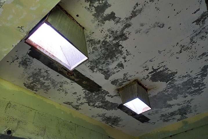 Two openings in roof of abandoned building - PingBuCuoShan - 坪埔厝山