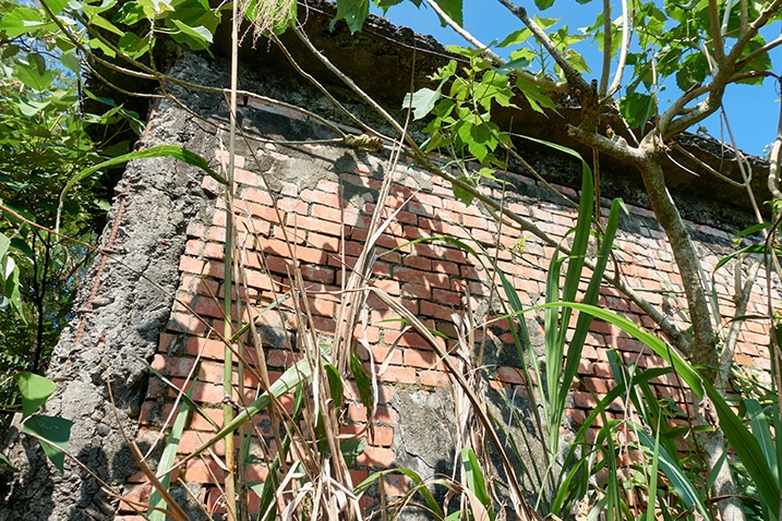Old abandoned brick building side - plants and small trees in front - PingBuCuoShan - 坪埔厝山