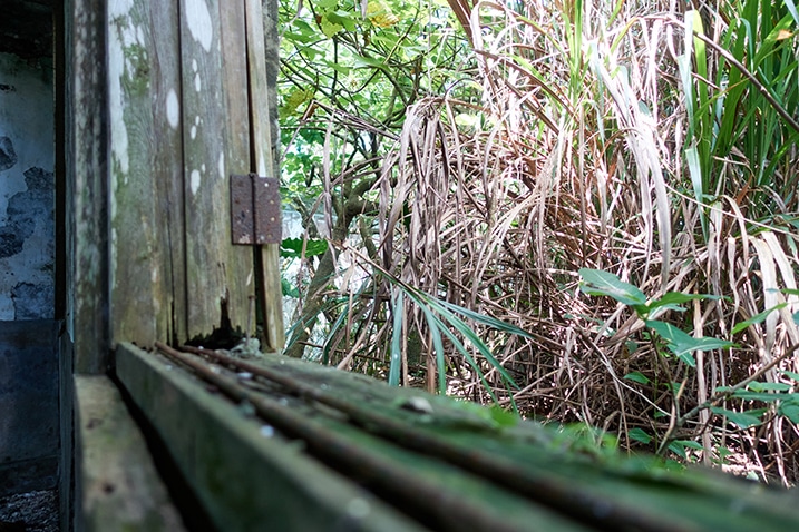 Closeup of old wooden windowsill - jungle outside - PingBuCuoShan - 坪埔厝山