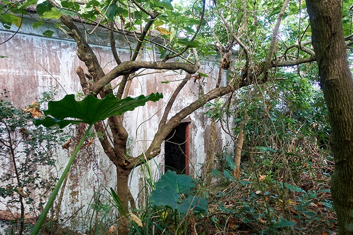 Side of building in the jungle - trees and plants overgrown - door - PingBuCuoShan - 坪埔厝山