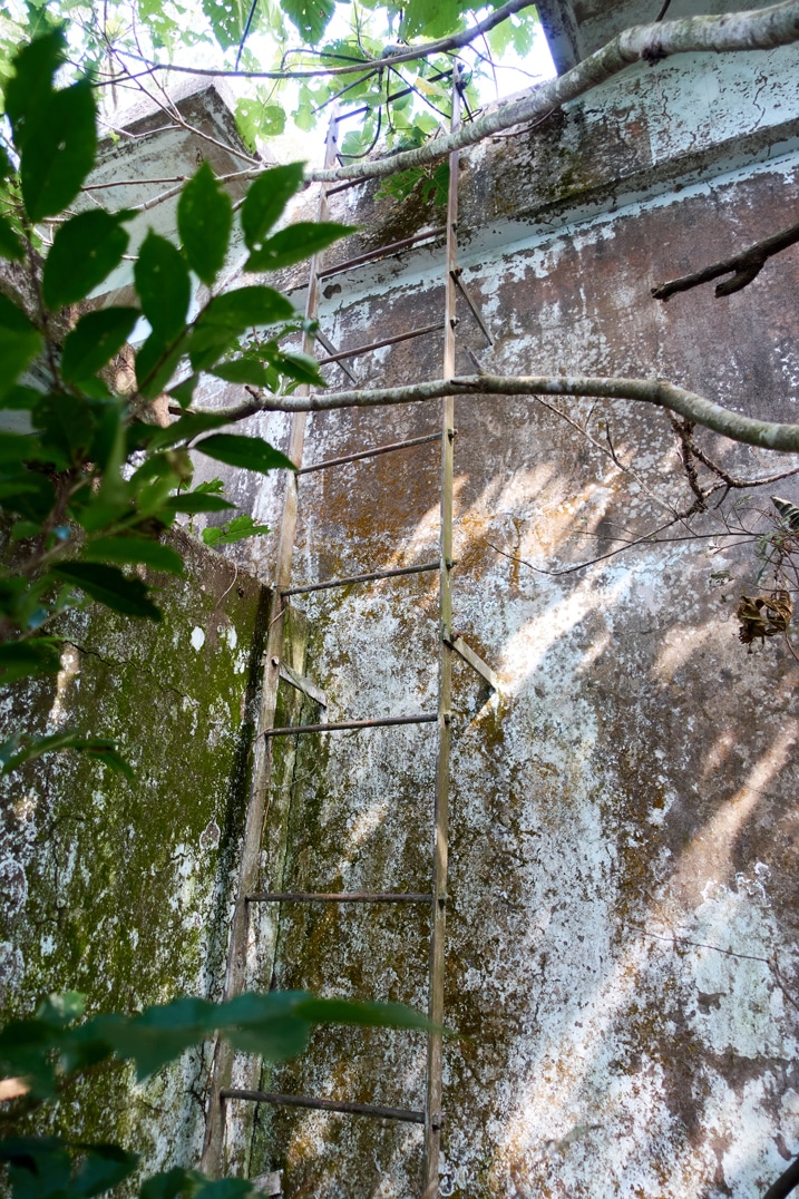Metal ladder on side of old abandoned building - PingBuCuoShan - 坪埔厝山