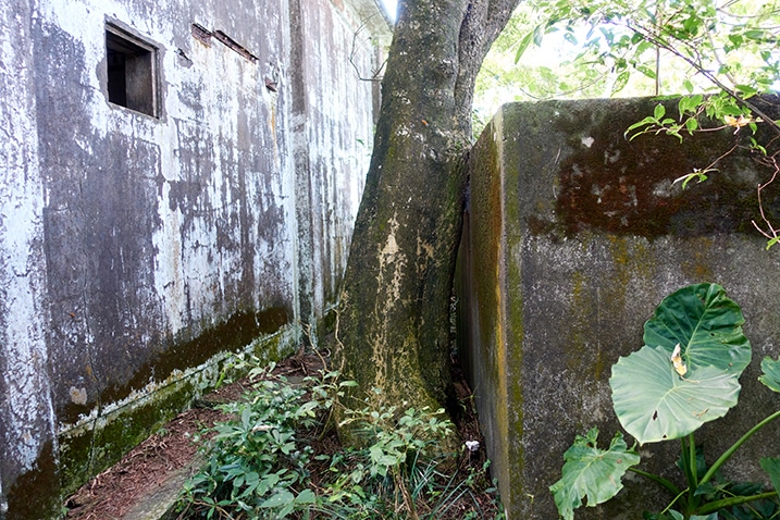 Concrete large box next to abandoned building - tree in between