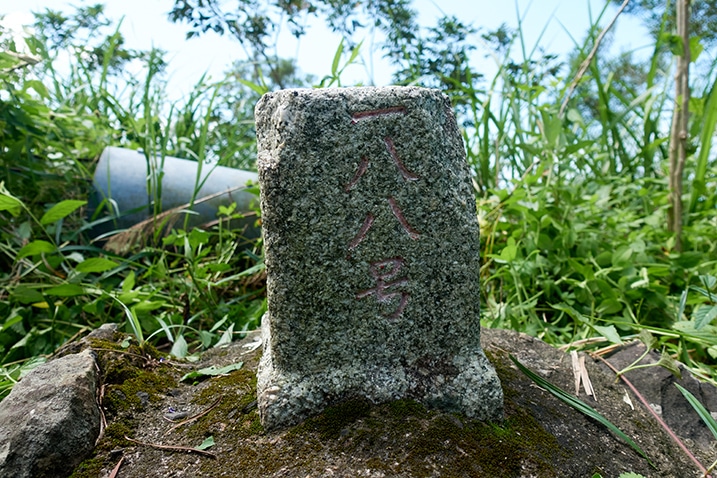Closeup of PingBuCuoShan - 坪埔厝山 triangulation stone