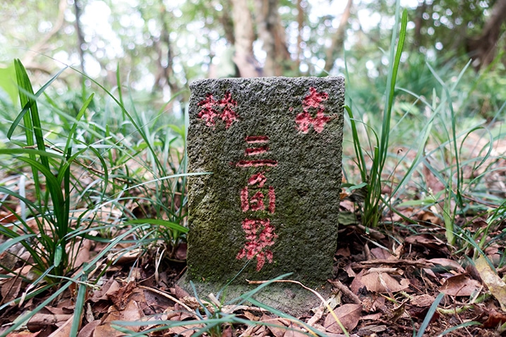 Closeup of triangulation stone for NanHuLuShan West Peak - 南湖呂山西