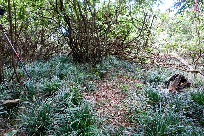 Open area with triangulation stone - NanHuLuShan West Peak - 南湖呂山西 - grass around the edges - trees in back