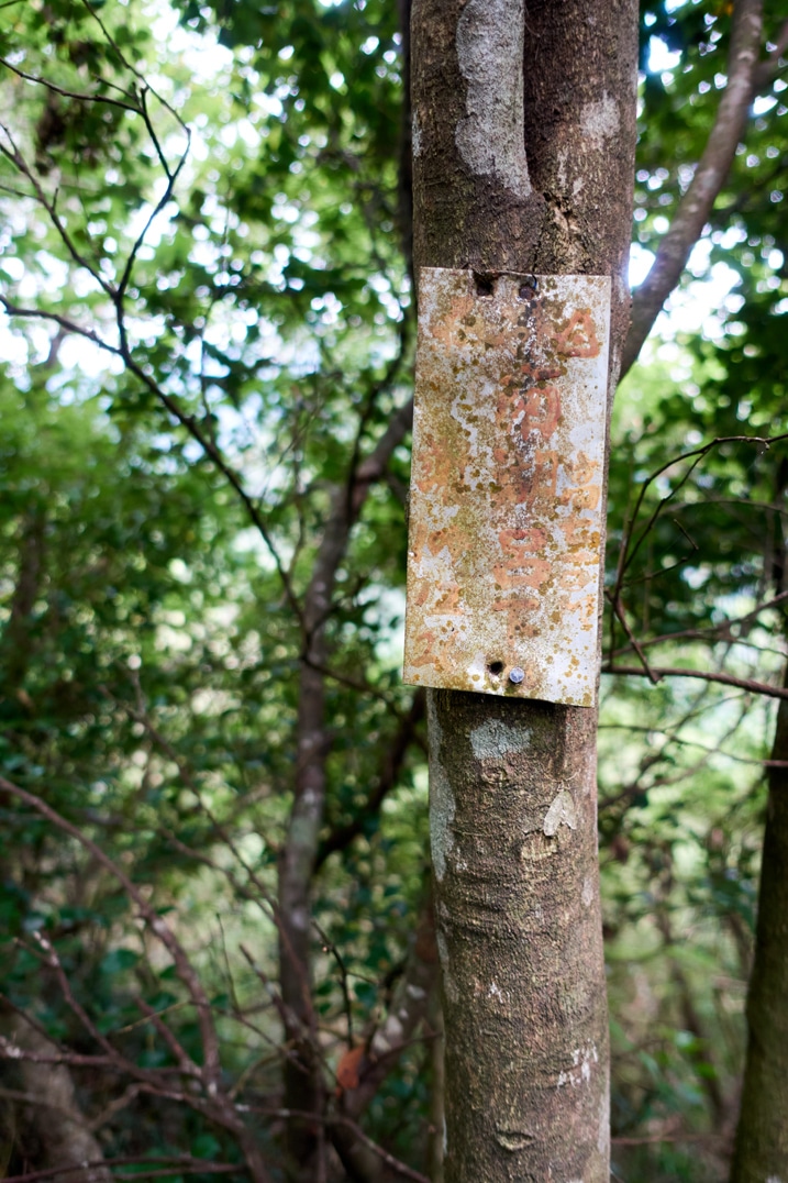Metal sign with Chinese written on it attached to tree - hard to read the words