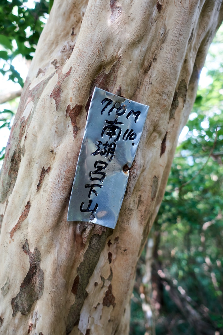 Metal sign attached to tree with Chinese writing on it