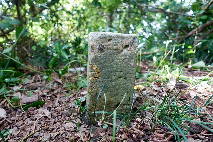 Closeup of triangulation stone for Caoshan - 草山