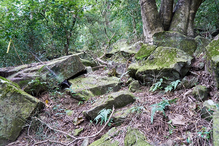 Large rocks scattered about