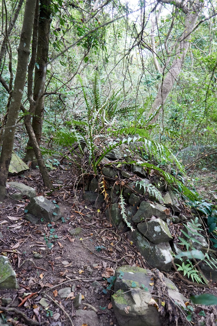 Rocks stacked to form a small wall - many plants and trees