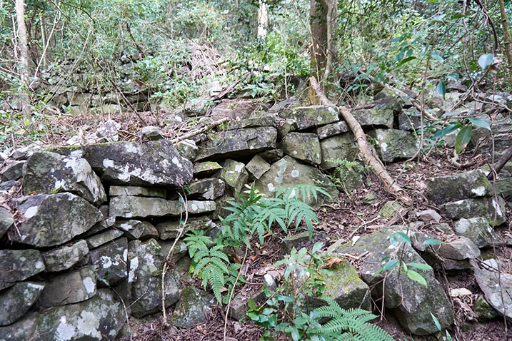 Rocks stacked to form a wall - trees and plants around