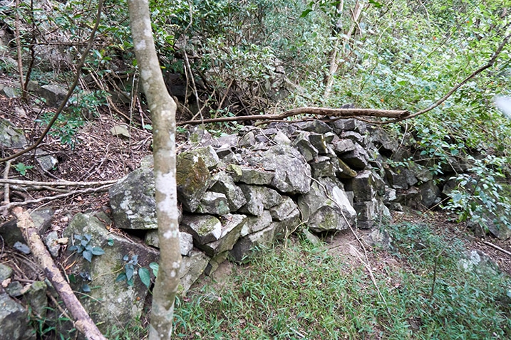 Many rocks stacked to make a wall - trees and plants around