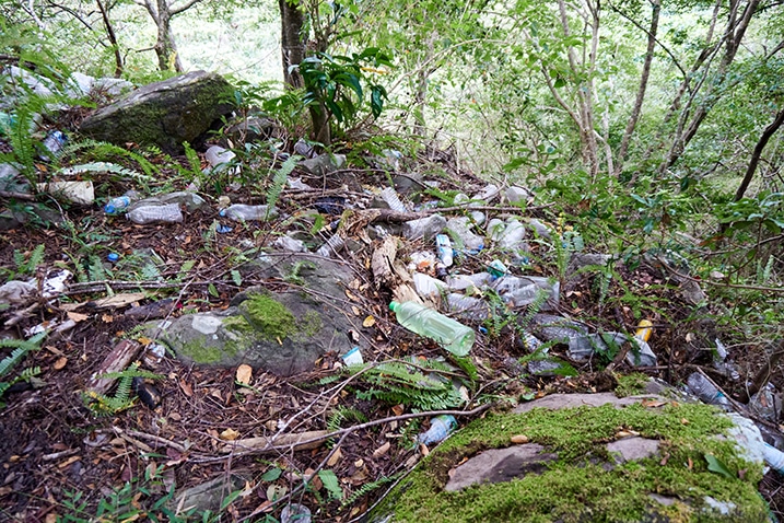 Many discarded plastic bottles on forest floor
