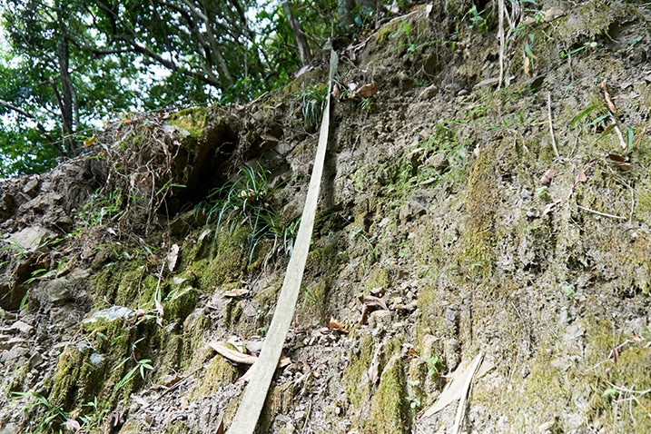Piece of long webbing used as rope going up steep ledge