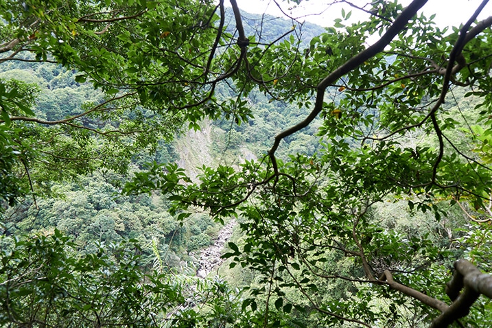 Looking through tree branches at a mountain stream below