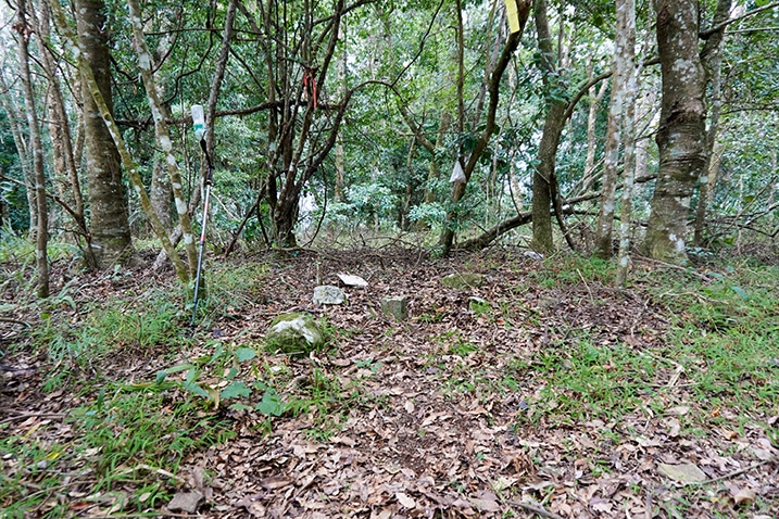 我丹山東峰 Wodanshan East Peak - open area - triangulation stone near center - trees in background