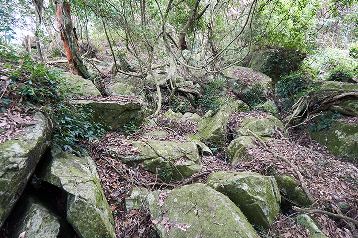 Many large boulders on mountain ridge - trees and dead leaves - 我丹山東峰 Wodanshan East Peak