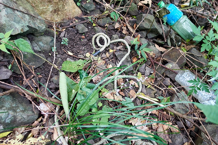 Rope on ground - two plastic drink bottles nearby