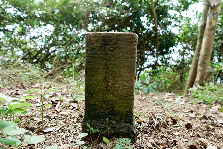 Closeup of one side of the triangulation stone for 著可芋山