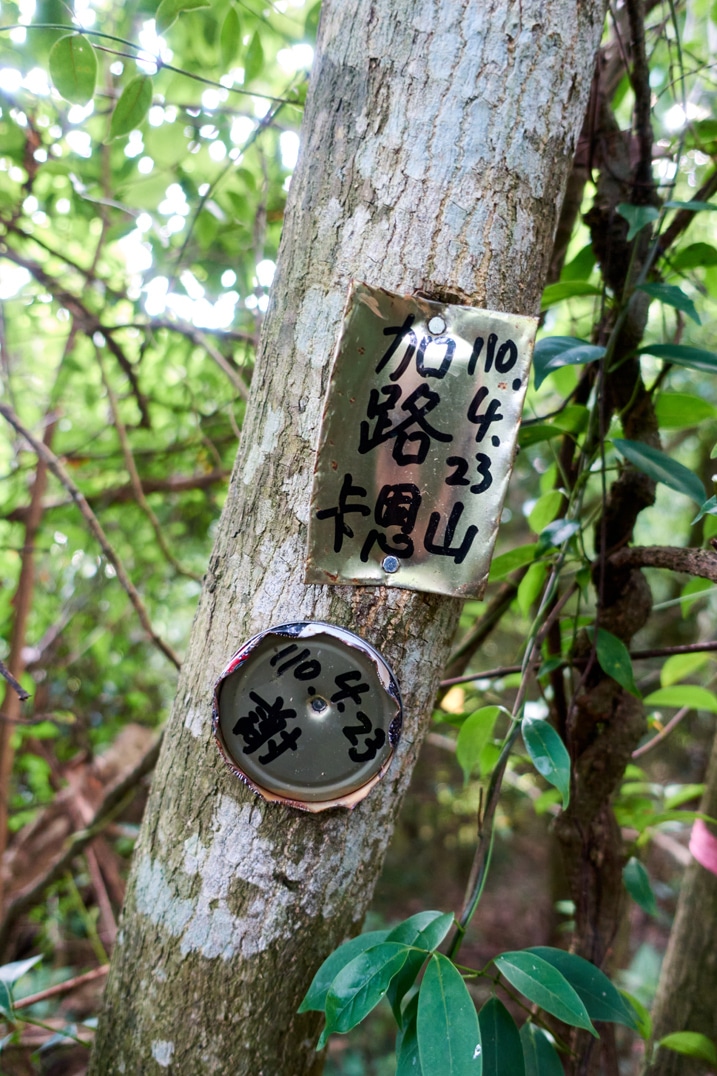 Two homemade metal pieces attached to tree with mountain name on them