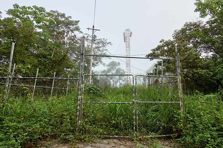 Some sort of communication tower surrounded by fencing - overgrown grass and trees on either side