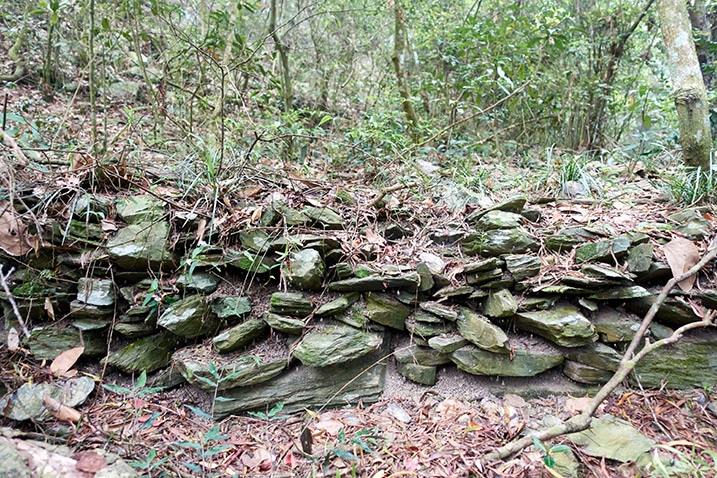 Closeup of stacked rocks - trees behond