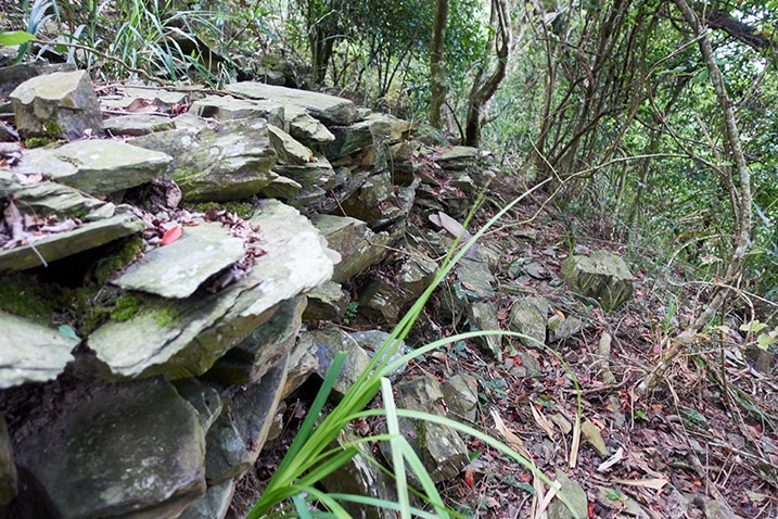 Closeup of stacked rocks on the left - trees to the right