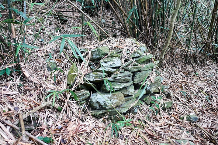 Mound of stacked rocks - bamboo behind it