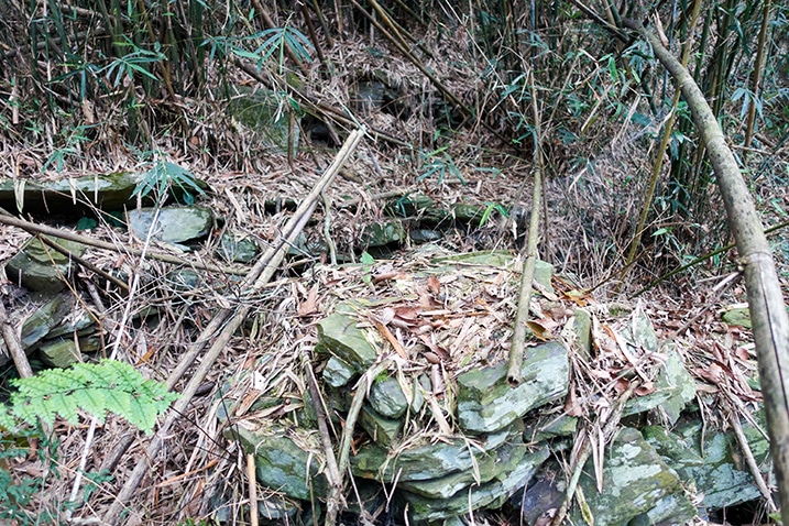 many stacked rocks hidden in overgrowth - bamboo