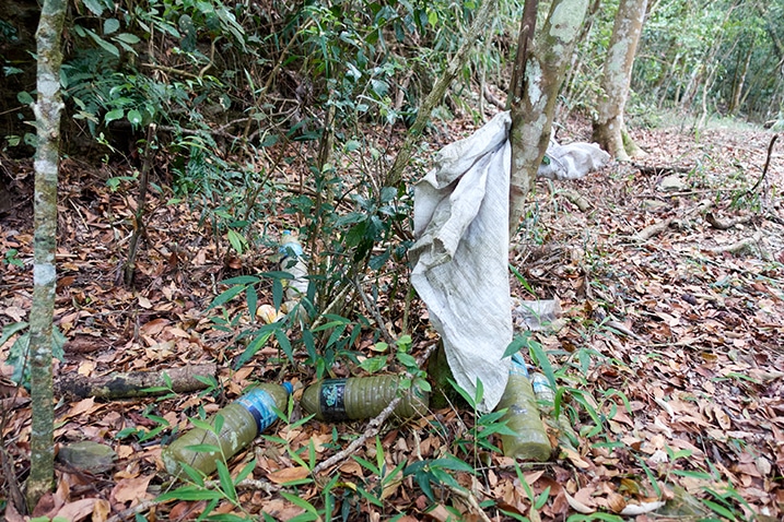 Garbage tied to tree - bottles on ground