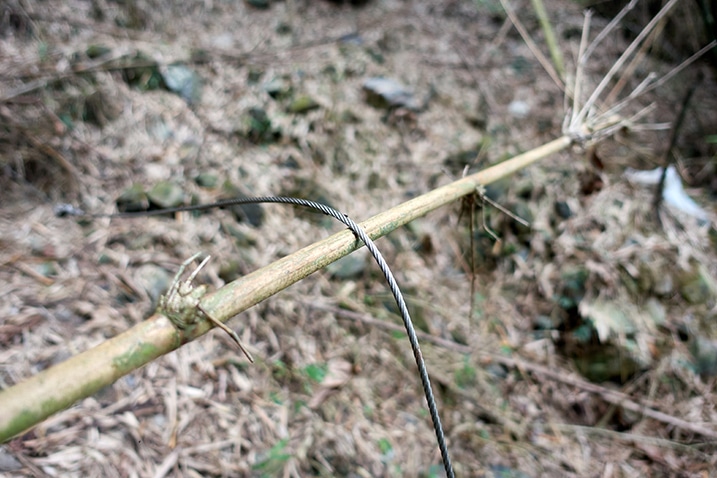 Closeup of wire used for trapping animals