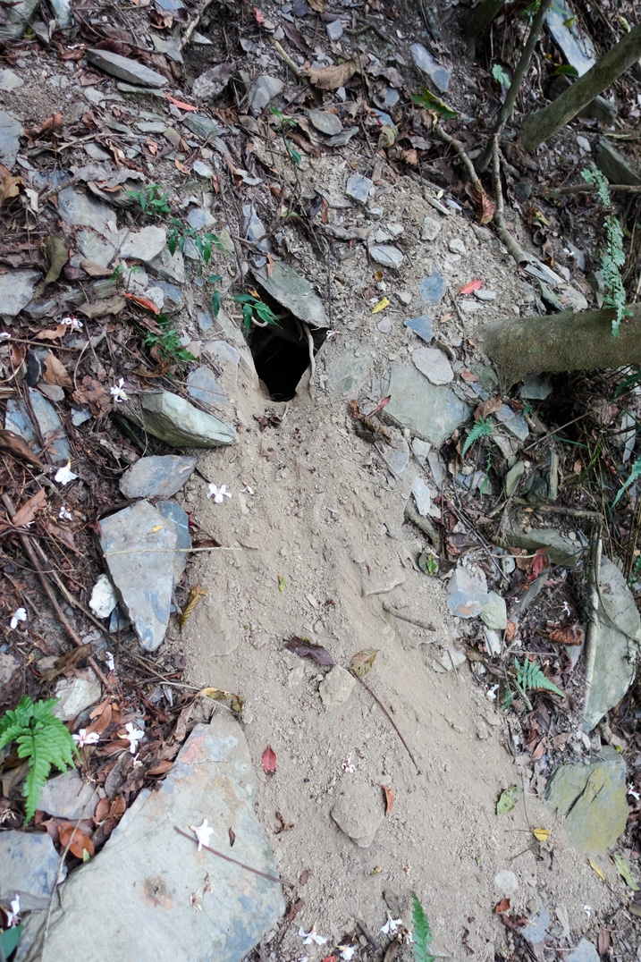 Hole dug in ground