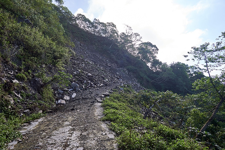 Mountain landslide - road leading to landslide - trees around