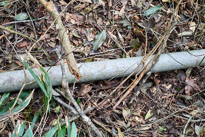 Metal pipe on the ground - many leaves and sticks