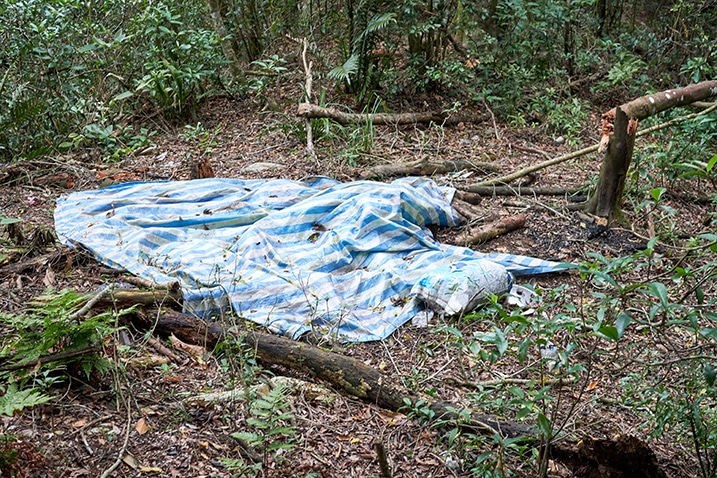 Blue and white striped tarp in middle of cleared area